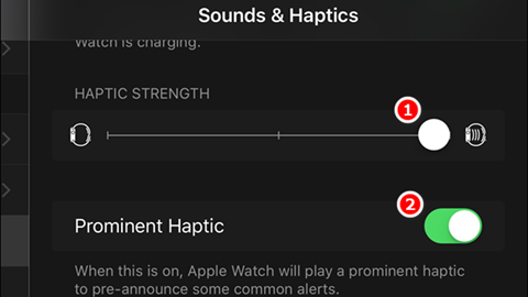 Hướng dẫn điều chỉnh cảm biến haptic trên Apple Watch 4 Hướng dẫn điều chỉnh cảm biến haptic trên Apple Watch hình 4